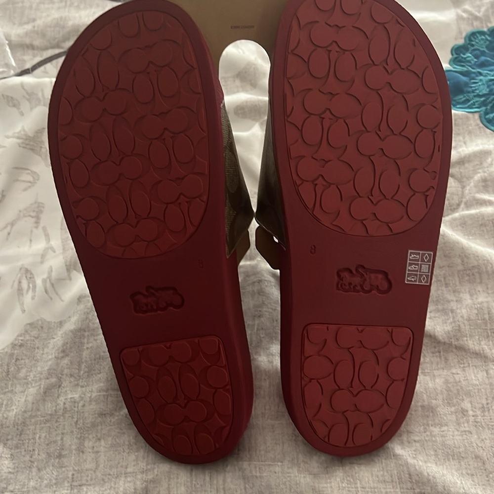 Coach slides - Picture 2 of 4